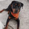 Jackie Sheehy - @jackie.sheehy - TikTok