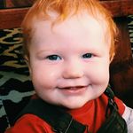Jack ✖️The Baby Sheeran - @jackthebabysheeran - Instagram