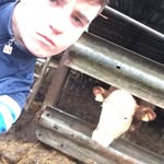 Jack Sheffield - @sheffield.jack - Instagram