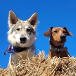 Jack & Shelby - @lil.jack_ms.shelby - Instagram