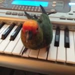 Jack Shelby - @jack.shelby - Instagram