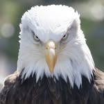 Jack Shelby - @jack.shelby.1984 - Instagram