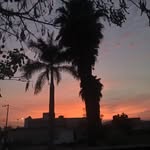 jack_Shelby - @jack_shelby_777 - Instagram