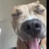JackieScheneman - @jackie.sch2 - TikTok