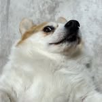 Jack Sheng - @jack_scaredofthedark - Instagram