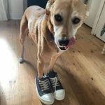 Jack - @_jacksherlock - Instagram
