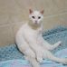 Jack Shin - Facebook