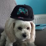 jack - @jackshinn_ - Instagram