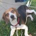 Jack Shinnick - Facebook