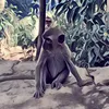 JackShores - @_jackshores_ - TikTok