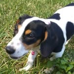 Jack_Shoup23 - @jackshoup2004 - Instagram