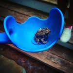 Jack Shoup - @just_jack_333 - Instagram
