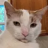 Jack_shumate - @jack_shumate2 - TikTok