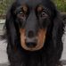 Jackie Roy Shumpert - Facebook