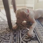 Jack Shupert - @jackshupert - Instagram