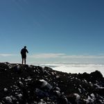 Jack Shuttleworth - @jack.shuttleworth - Instagram