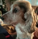 Jack Siddons - Facebook
