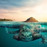 Jack Sidney - @photoshoper45 - Instagram