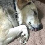 Jack Sieverding - @jacksieverding - Instagram