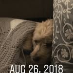 Jack Silvers - @jack_sil_44_99 - Instagram