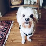 jack silverspoon - @jacksilverspoon - Instagram