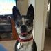 Jack Daniels Silverstein - Facebook