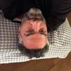 Jack_Simoni - @jack.simoni_70 - TikTok