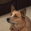 Jackie351 - @jackiesimpkins - TikTok