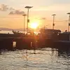 Jack Sinatra - @jack.sinatra5 - TikTok