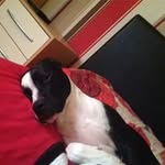 Jack Singh - @singh_jack._ - Instagram