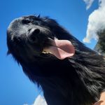 Jack - @jacksito_b - Instagram