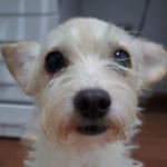 Jacksito - @jacksitorg - Instagram