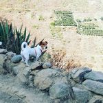 Jacksito - @jacksito___10 - Instagram