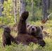 Jacob Skehan - Facebook
