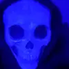 Jack Skelly - @jack_skellytun - TikTok