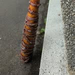 Jack Skidmore - @jack98105 - Instagram