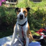Jack Skipper - @jack_skipper_ - Instagram