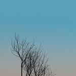 Jack Skyer - @jack.skyer - Instagram