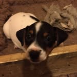 Jack_slack - @jack_slack089 - Instagram