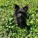 Jacklynn Slate - Facebook