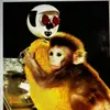 jack sly - @st.slyman - TikTok