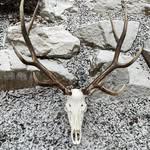 Jake Smeltzer - @theboneyard1 - Instagram