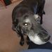 Jack Smithers - Facebook