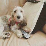 jack smithers - @jack_smithers11 - Instagram
