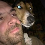 Kurdi Péter - @jack_the_smoothfoxterrier - Instagram