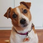 Penny - @pennysmoothjack - Instagram