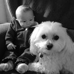 Jack Daniel Sneddon 🐶 - @jackattack_66 - Instagram