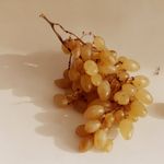 @jacksnell - Instagram