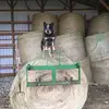 Jack Snelling697 - @jacksnelling6970 - TikTok