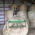 Jack Snelling - Facebook